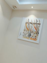 -雍禾植发全国连锁