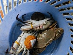 -八方海味餐厅