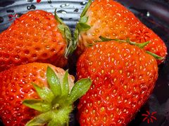 -果松木炭酸菜铜火锅·外婆参鸡汤