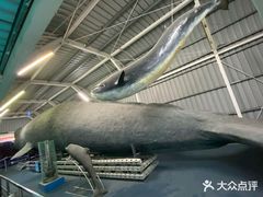-厦门海底世界