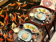-龙悦湾酒家·八阵鱼生·渔人码头店