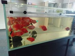 -陕西科学技术馆