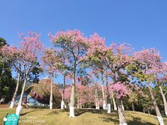 -东部华侨城
