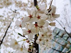 -创智天地-停车场