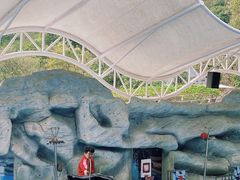 -泉州海丝野生动物世界