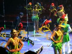 -珠海横琴长隆《卡卡虎奇遇记》