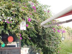 -KAFKA·卡夫卡咖啡(文林店)