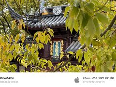 -西园寺