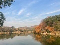 -白马涧龙池景区