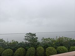 -江滩湿地公园