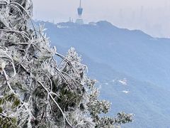 -梧桐山风景名胜区