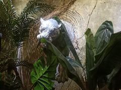 -酒阳蒸经小酒馆(解放碑店)