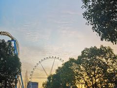 -锦江乐园舞狸花花游园会(夜场专享)