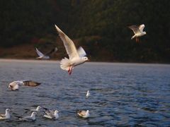 -浔岚云舍mist静谧观景美宿(丽江古城店)