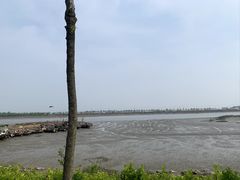 -日照海滨国家森林公园