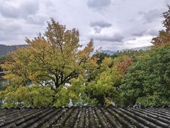 -蒋氏故居