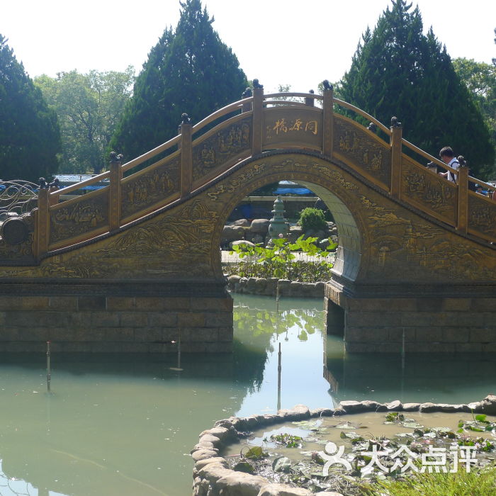 同源桥p1090057图片 - 第1张