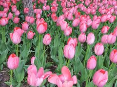 -长春公园(普阳街道)