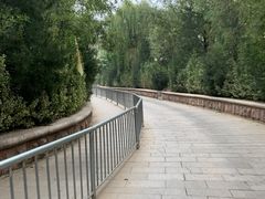 -泰安地下龙宫景区