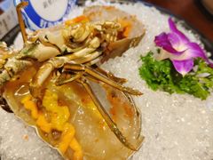 -东海怡品海鲜豆捞(舟宿夜江店)