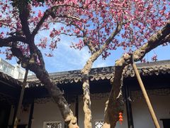 -海天楼中餐厅(吴宫泛太平洋酒店)