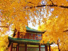 -棋盘山风景区