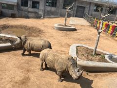 -西霞口神雕山野生动物世界