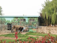 -西安秦岭野生动物园