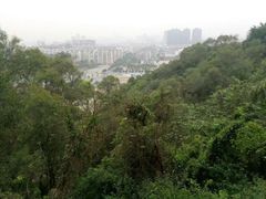 -金鸡山公园