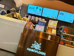 -奈雪的茶(青岛卓悦里INTOWN店)