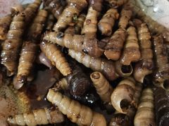 炒丁螺-姐妹炖罐店(桂香街总店)