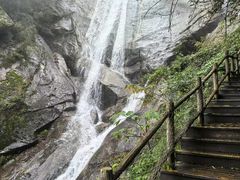 -内乡宝天曼生态旅游区