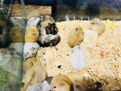 -南京时尚莱迪购物广场(正洪街店)