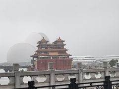 -野狸岛
