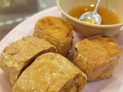-大中鱼翅 Taitong Shark Fin