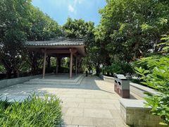 -海珠湖公园