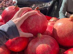 -新疆国际大巴扎