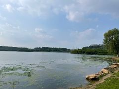 -丁香湖公园