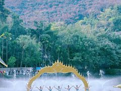 -西双版纳原始森林公园