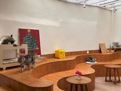 -有猫主题·治愈系猫咖(曾厝垵店)