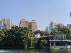 -荔湾湖公园