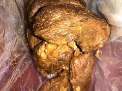 -白魁老号饭庄(安内店)