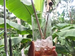 -植物园哈利亚餐厅