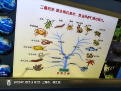 -上海昆虫博物馆