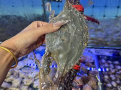 -日照大牌檔•小船海鲜(万平口店)