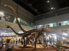 -自贡恐龙博物馆