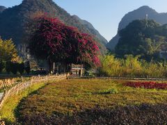 -靖西鹅泉风景区