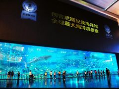 -成都浩海立方海洋公园