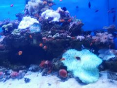 -多彩贵州城极地海洋世界