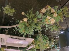 -IFIF 如果花園(宽厚里店)